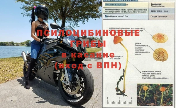 шишки Армянск