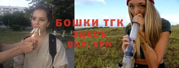 шишки Армянск