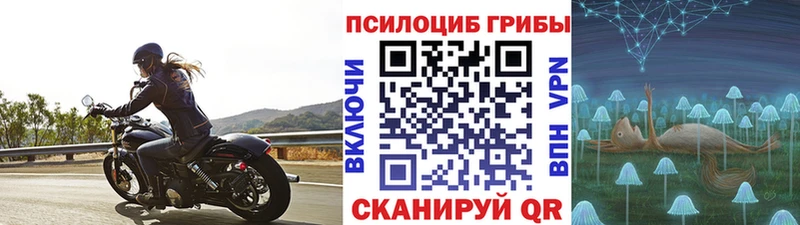 Псилоцибиновые грибы мухоморы купить наркотик Сычёвка